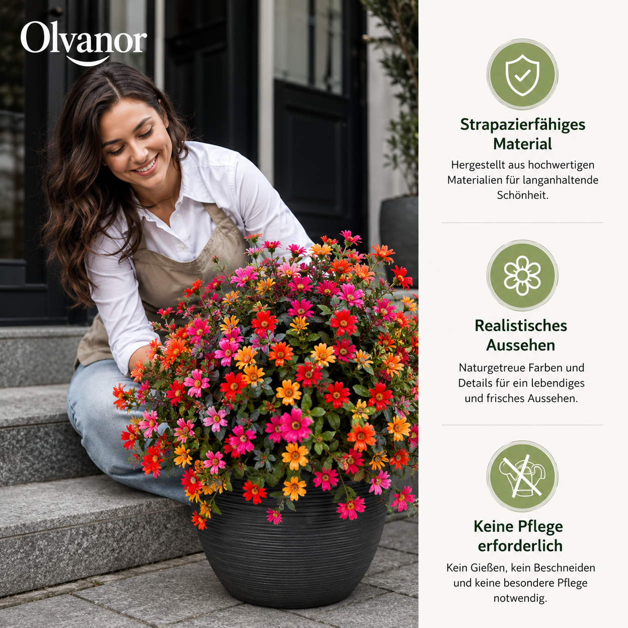 Olvanor — immer in Blüte, ohne Aufwand
