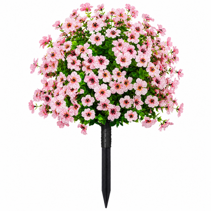 Olvanor — immer in Blüte, ohne Aufwand