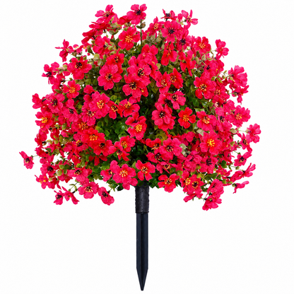Olvanor — immer in Blüte, ohne Aufwand